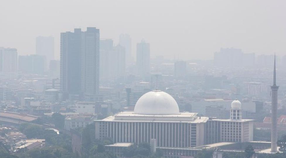 Bukan Sekadar Nutrisi: Mengapa Praktik Circadian Fasting Kini Menjadi Rahasia Produktivitas Elite Jakarta di Tengah Polusi?